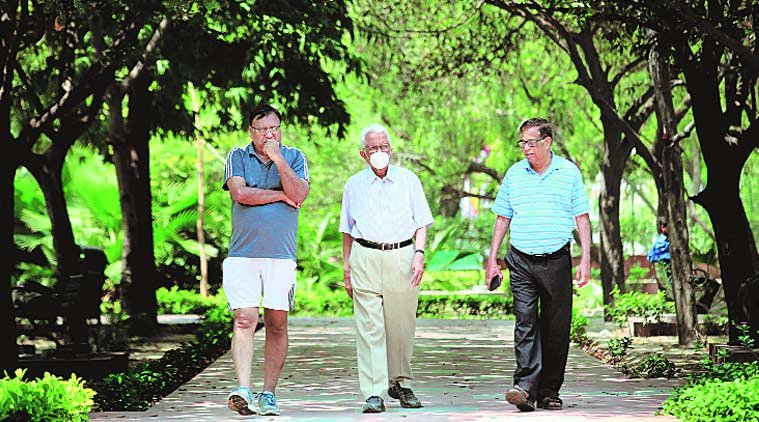 Free website template by Free-Template.co